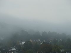 Nebel l