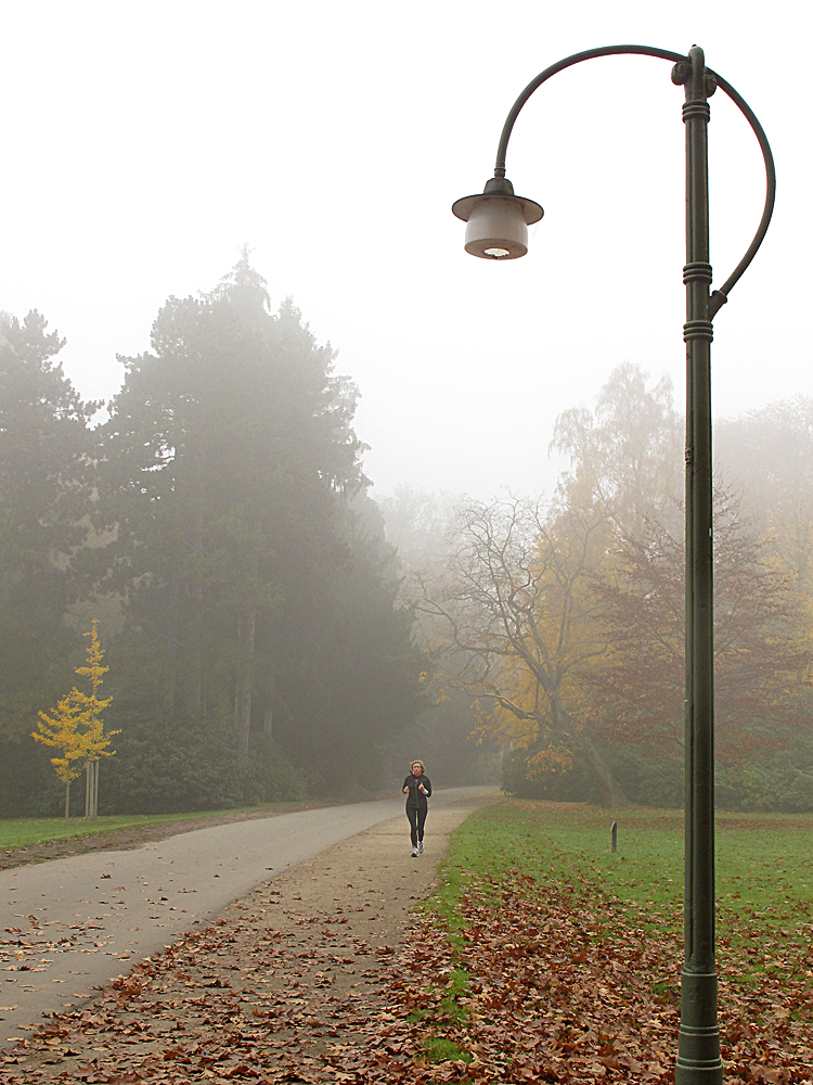 Nebel / La nebbia (1)