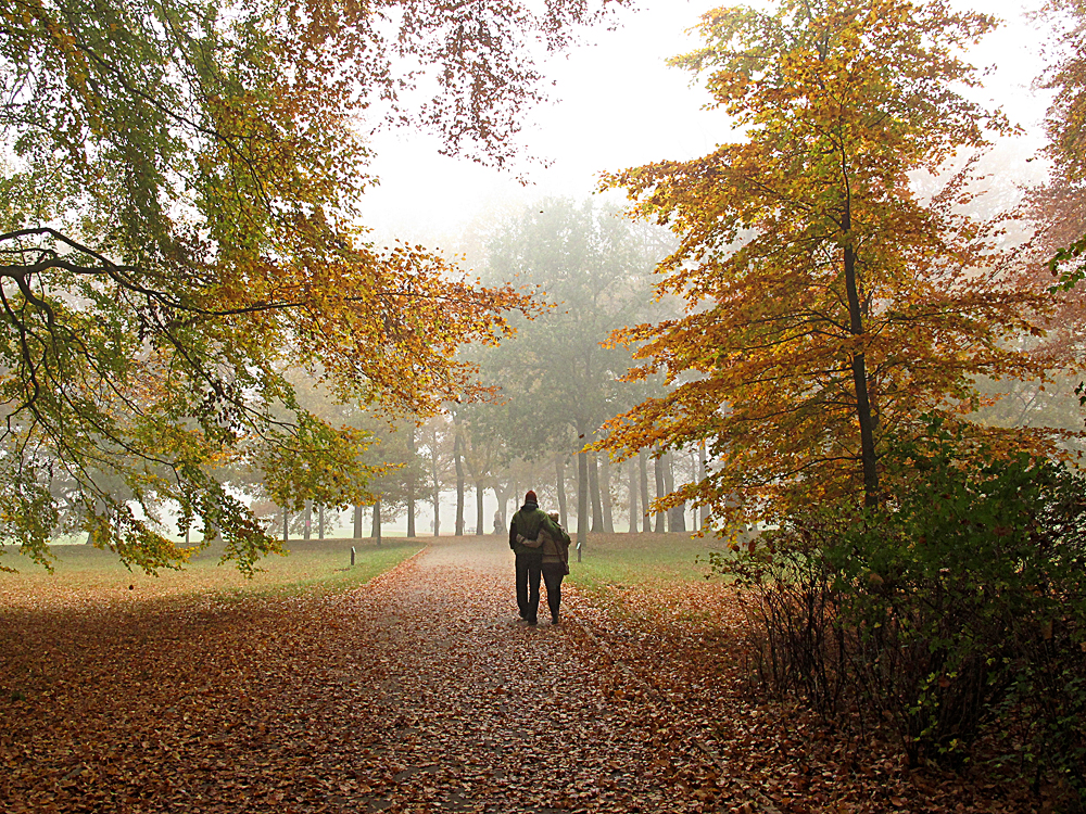 Nebel / La nebbia (5)