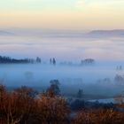 Nebel lässt sein graues Band flattern durch die Lüfte... 