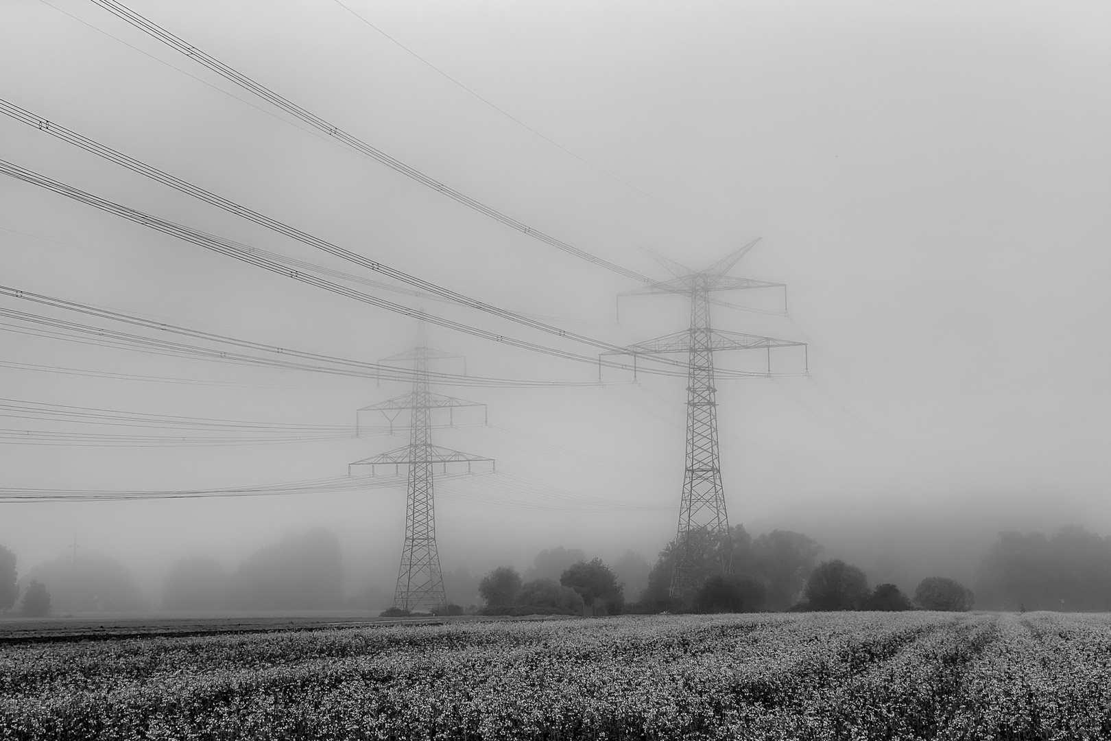 Nebel lässt sichtbare Dinge unsichtbar werden