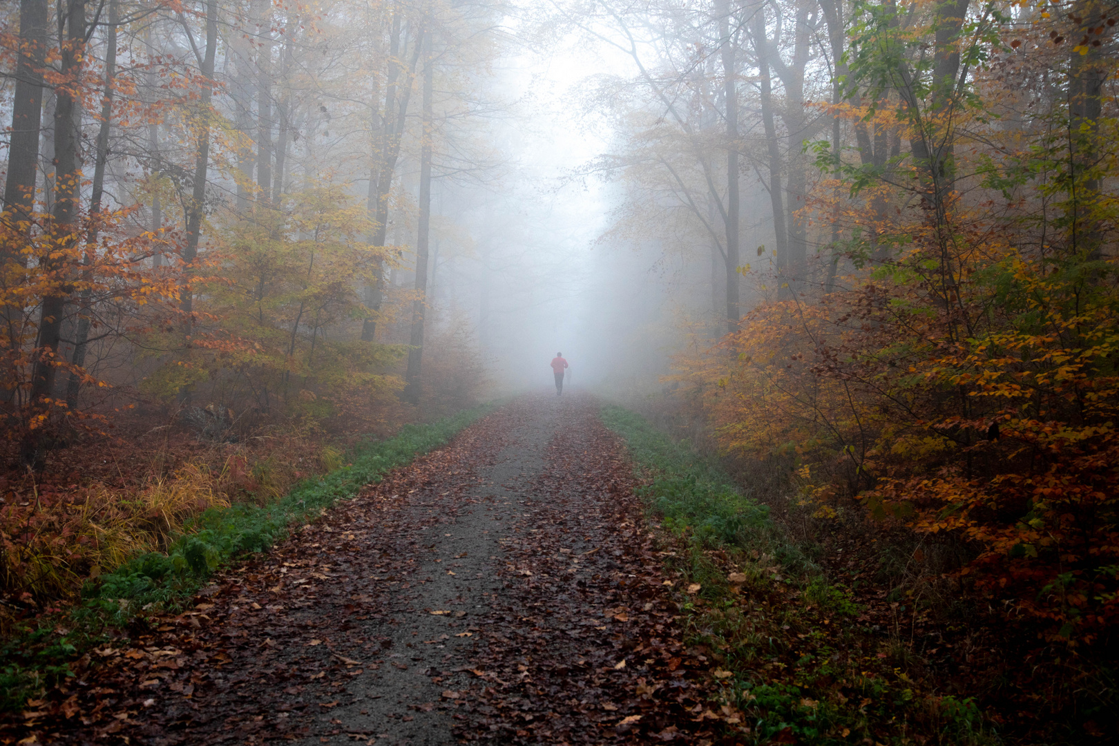 Nebel - Läufer