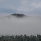 Nebel-Land