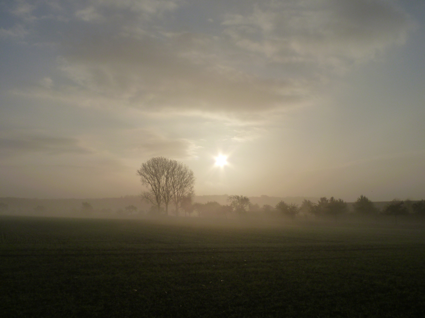 Nebel-Land