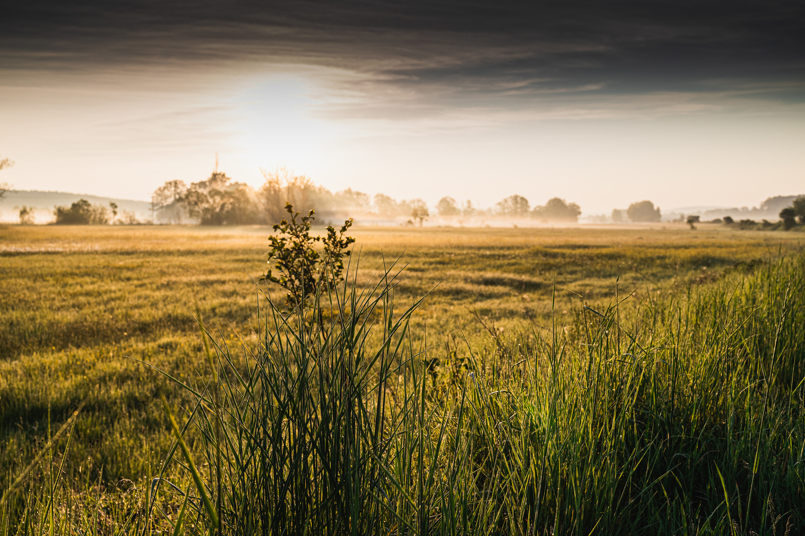 Nebel Land