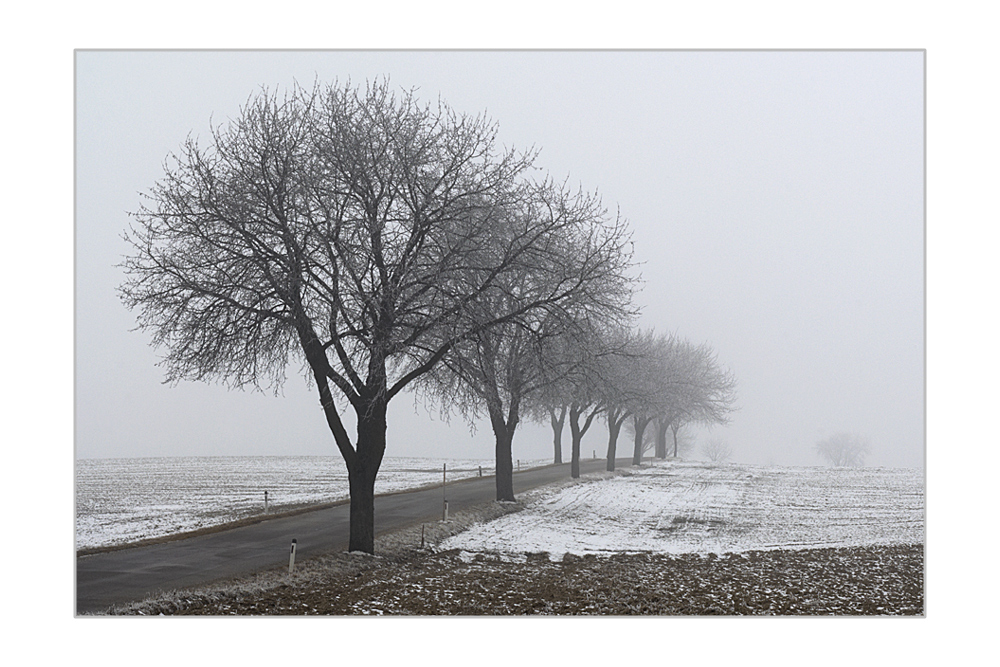 Nebel-Land-Straße