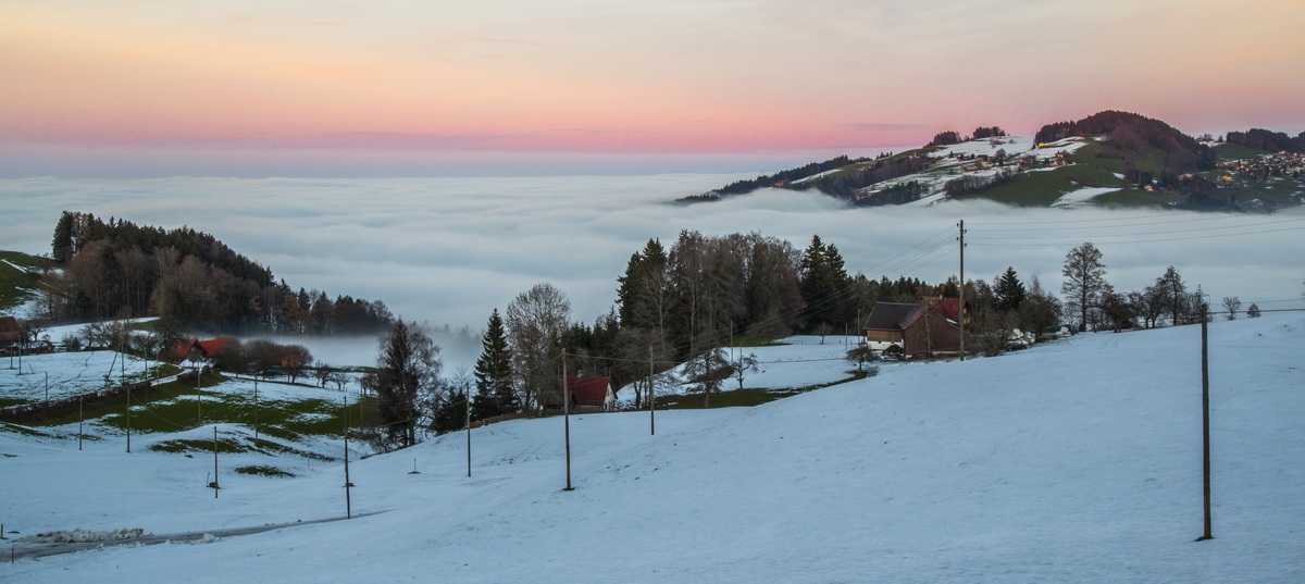 Nebel Landschaft