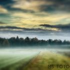 Nebel Landschaft