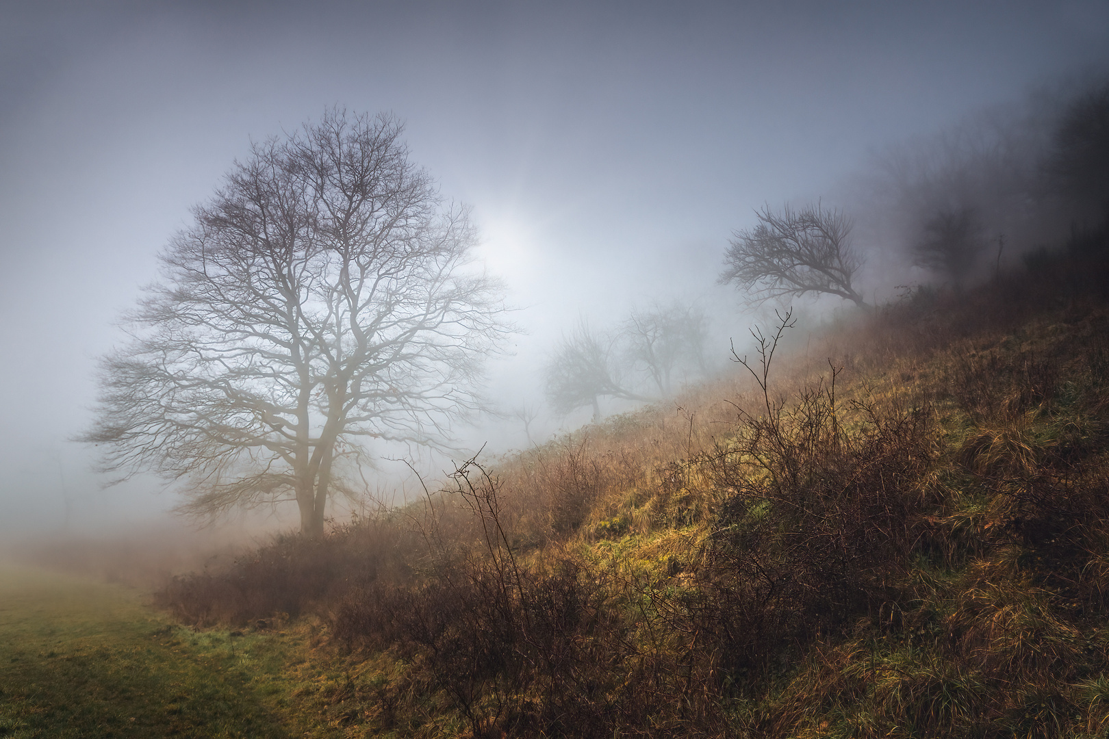 Nebel Landschaft