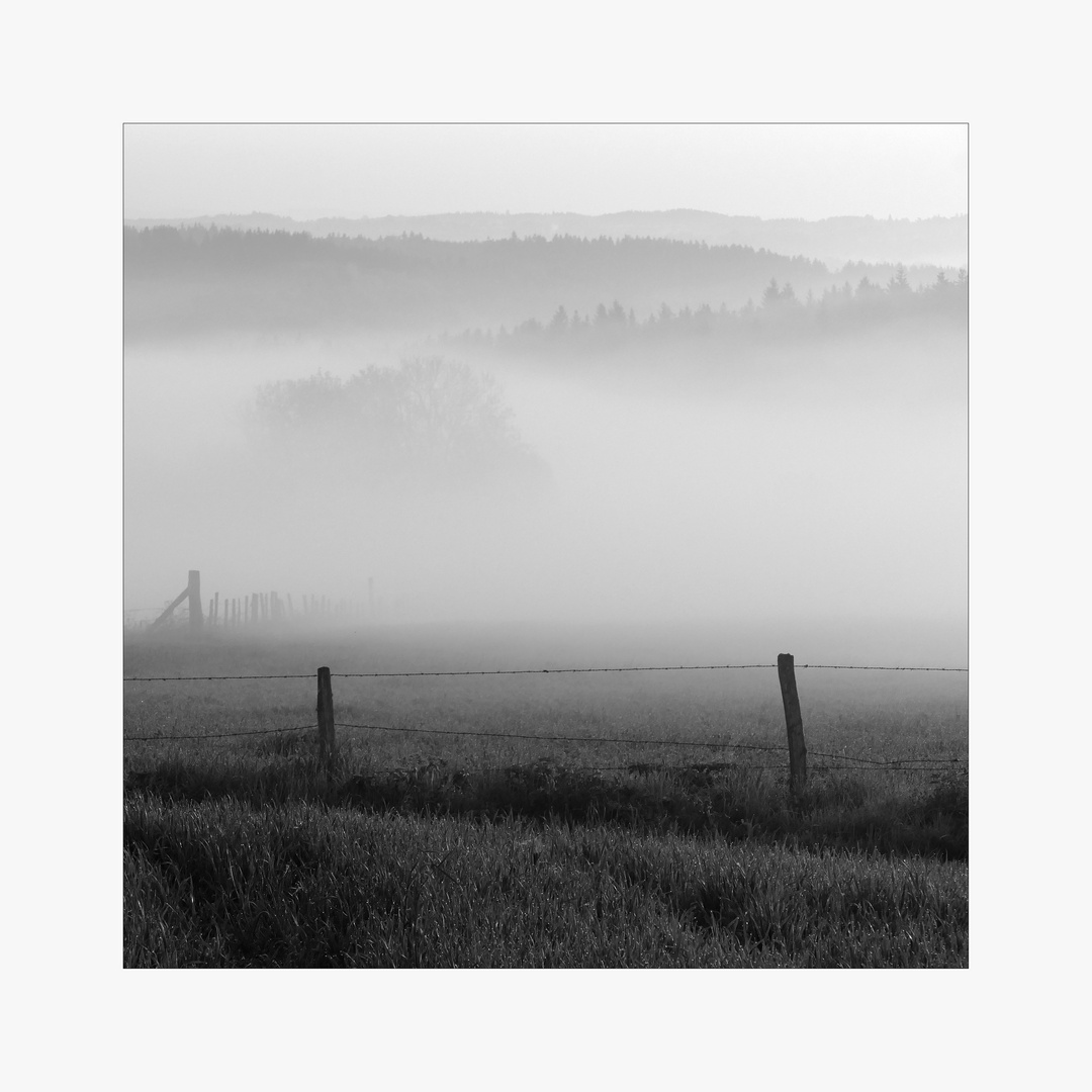 Nebel-Landschaft