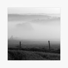 Nebel-Landschaft