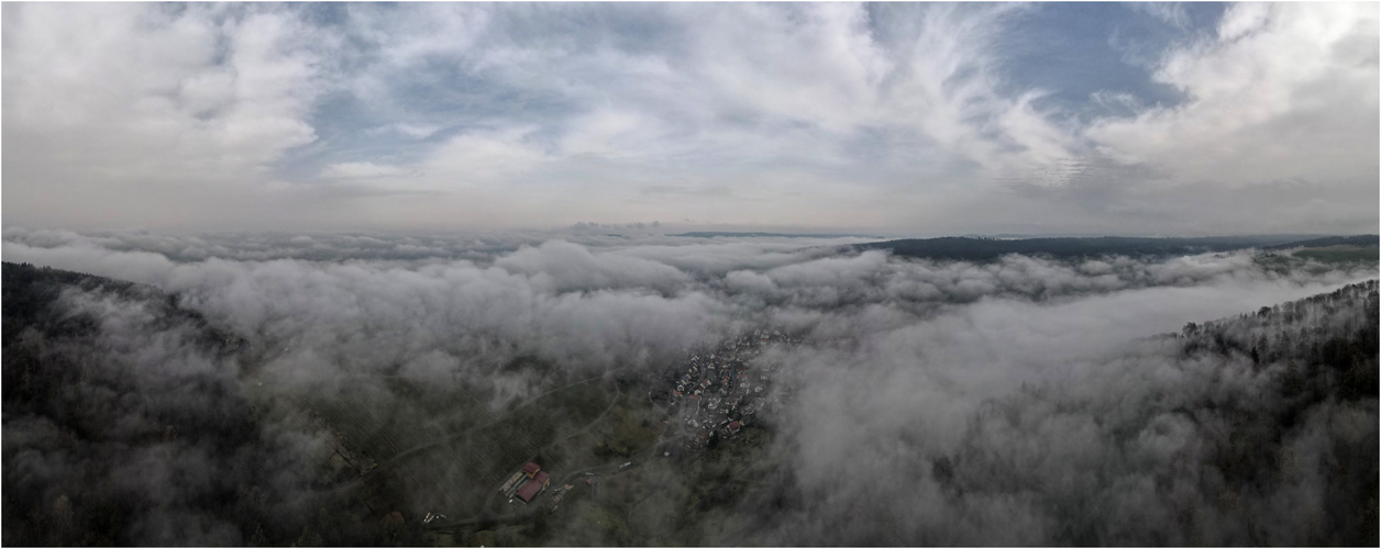 Nebel-Landschaft