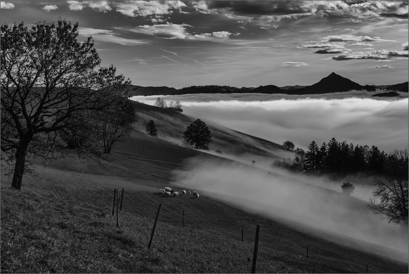 Nebel Landschaft