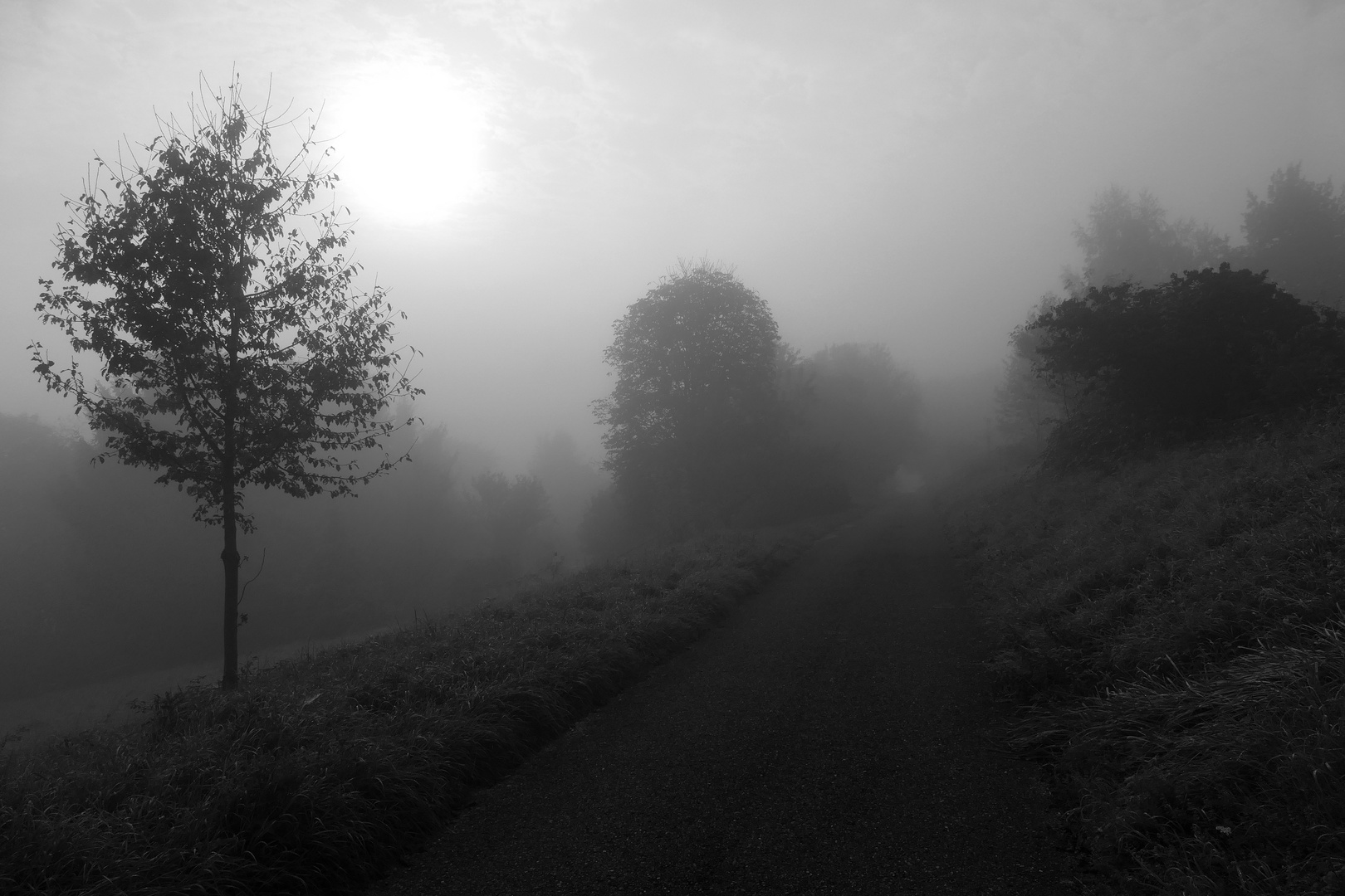 Nebel-Landschaft