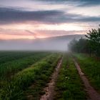 Nebel Landschaft