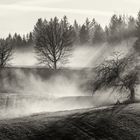 Nebel Landschaft Südbaden