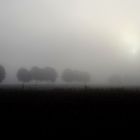 Nebel - lebeN