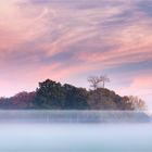 Nebel legt sich über das Münsterland