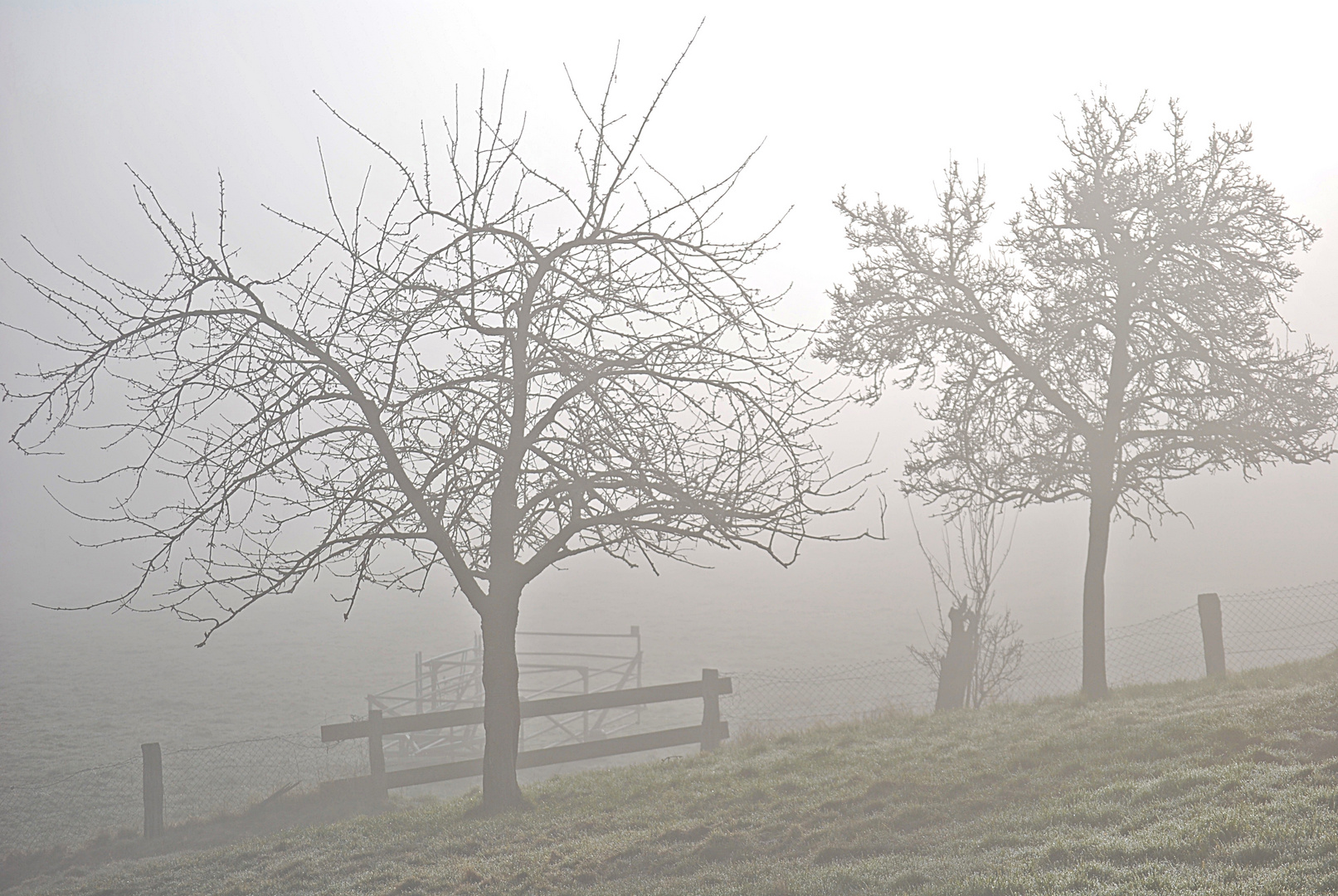 Nebel legt sich über's Land...