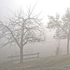 Nebel legt sich über's Land...