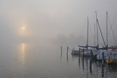 Nebel-Licht -2-