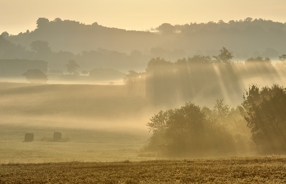 *Nebel & Licht*