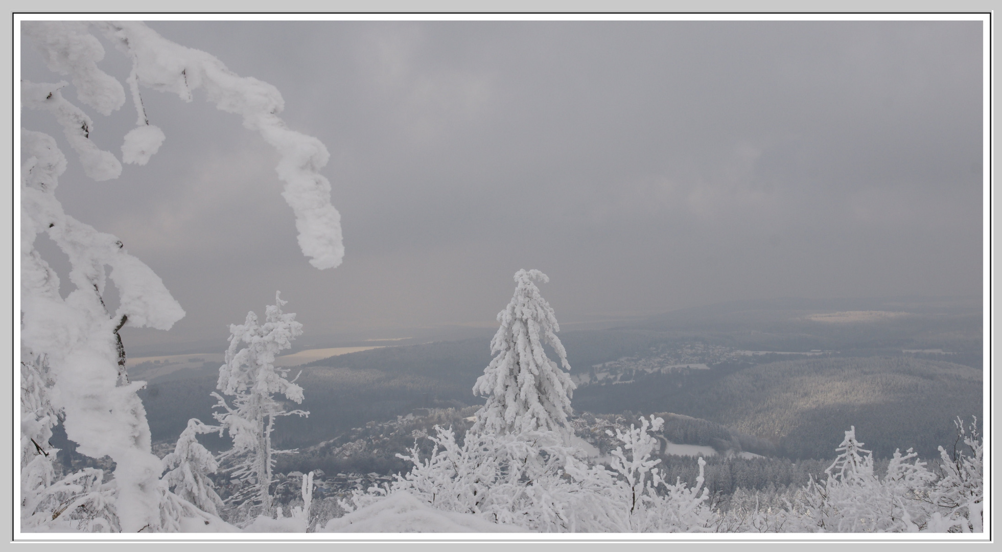 Nebel-Lichtblicke