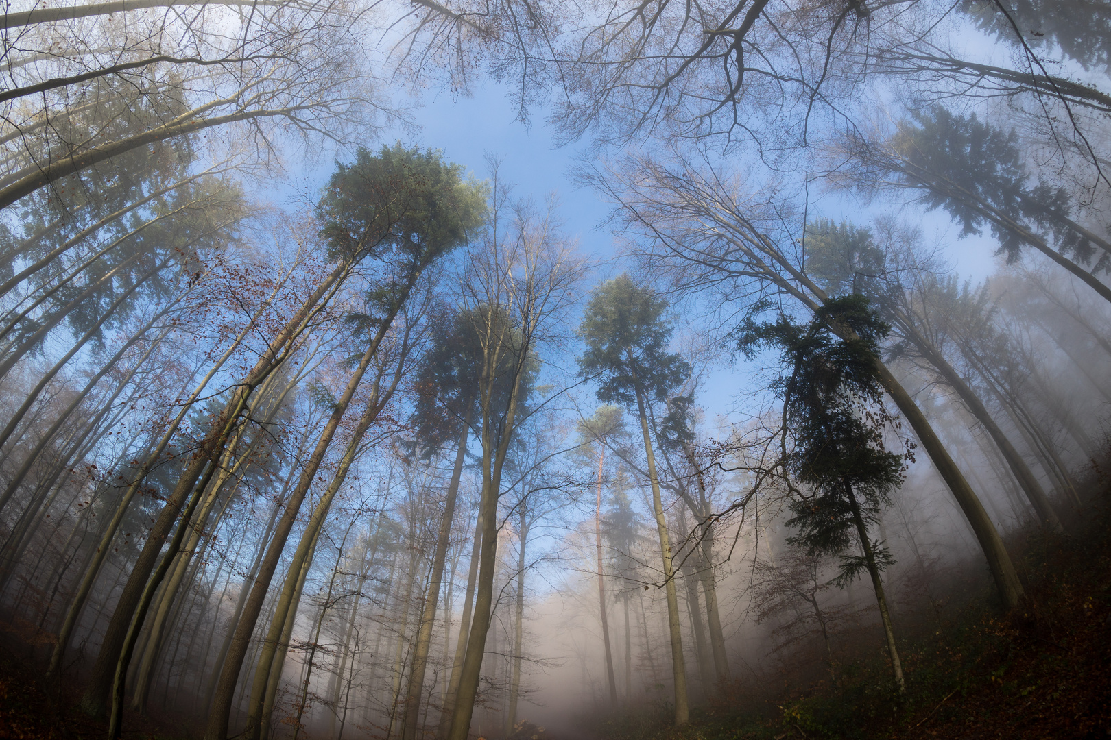 Nebel lichtet