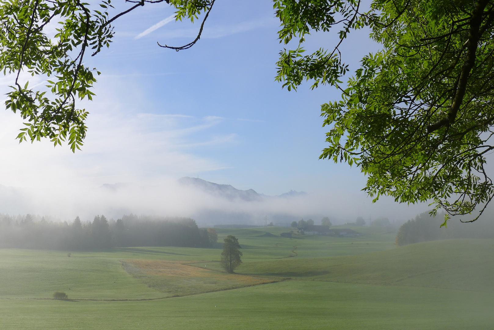 Nebel lichtet sich ...