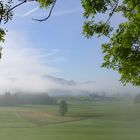 Nebel lichtet sich ...