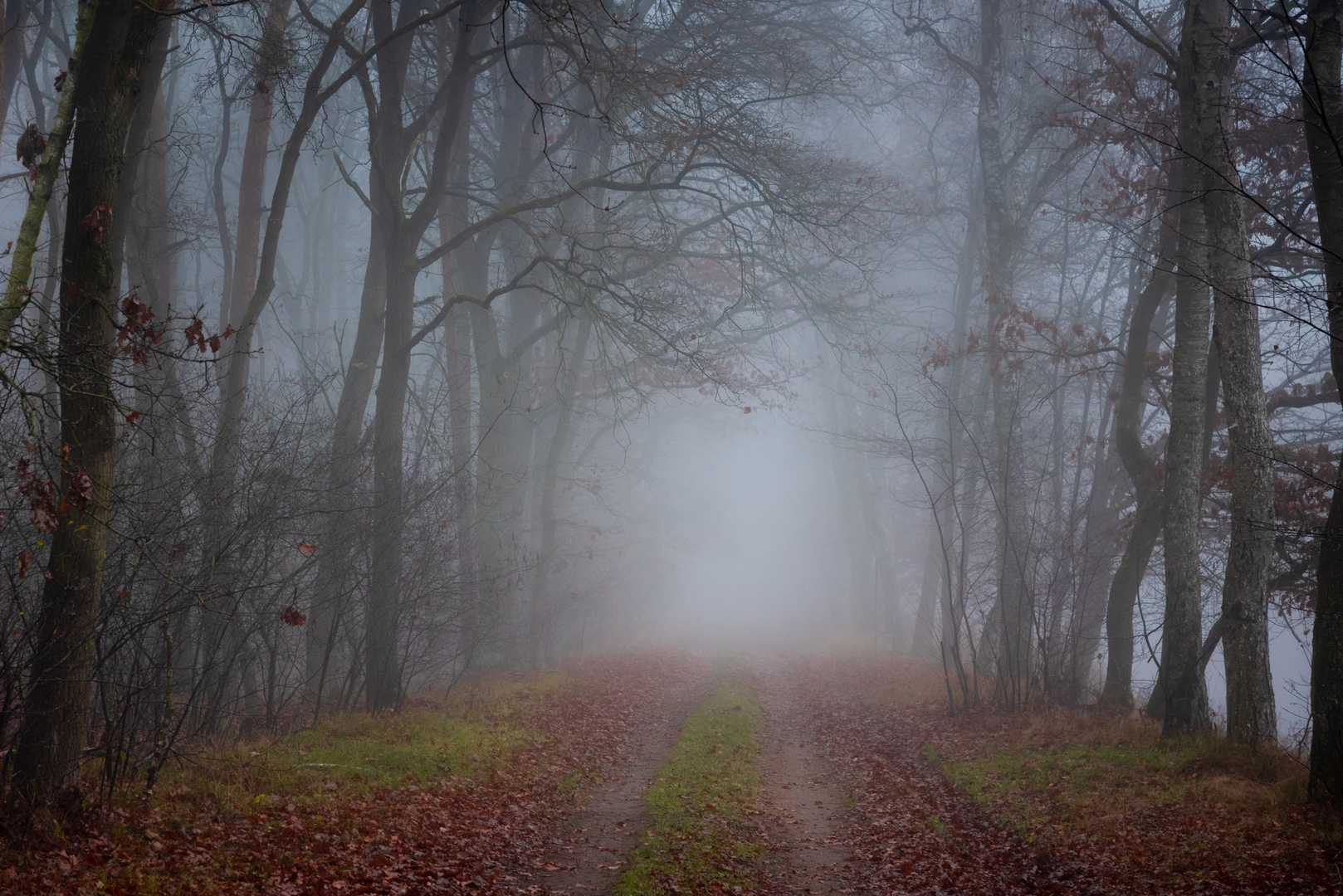 Nebel liegt auf allen Wegen