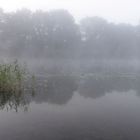 Nebel liegt auf dem See