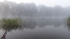 Nebel liegt auf dem See