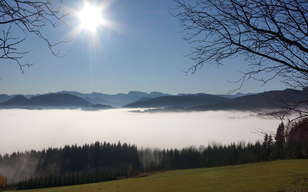 Nebel liegt im Steyrtal