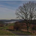 Nebel liegt im Tal