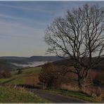 Nebel liegt im Tal