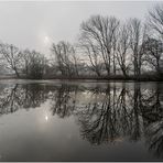 nebel liegt in der luft......