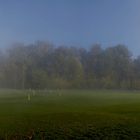 Nebel liegt über dem Golfplatz