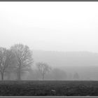 Nebel liegt über dem Land