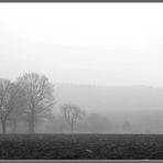 Nebel liegt über dem Land