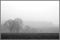 Nebel liegt über dem Land