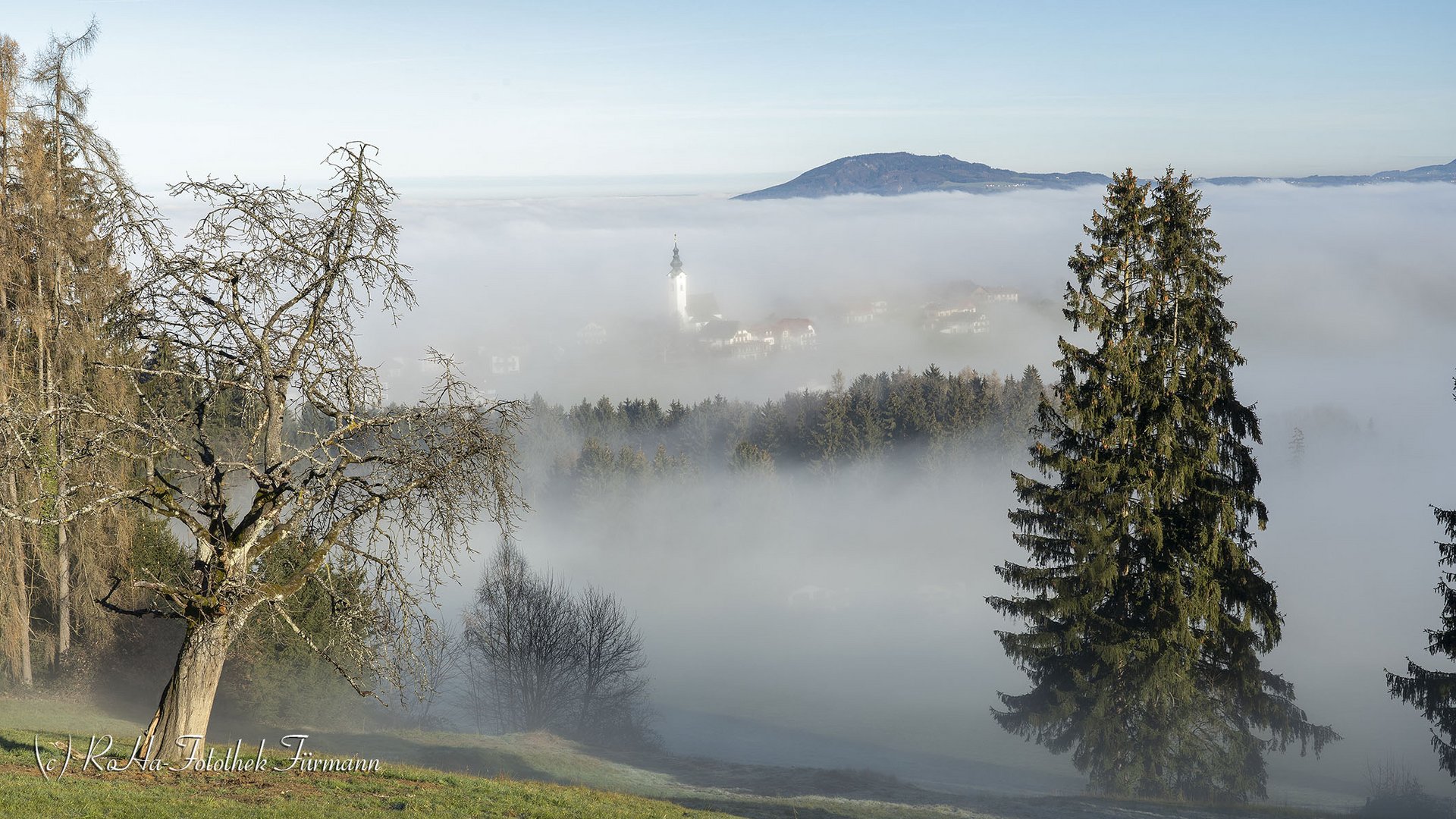 Nebel liegt über dem Rupertiwinkel