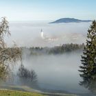 Nebel liegt über dem Rupertiwinkel