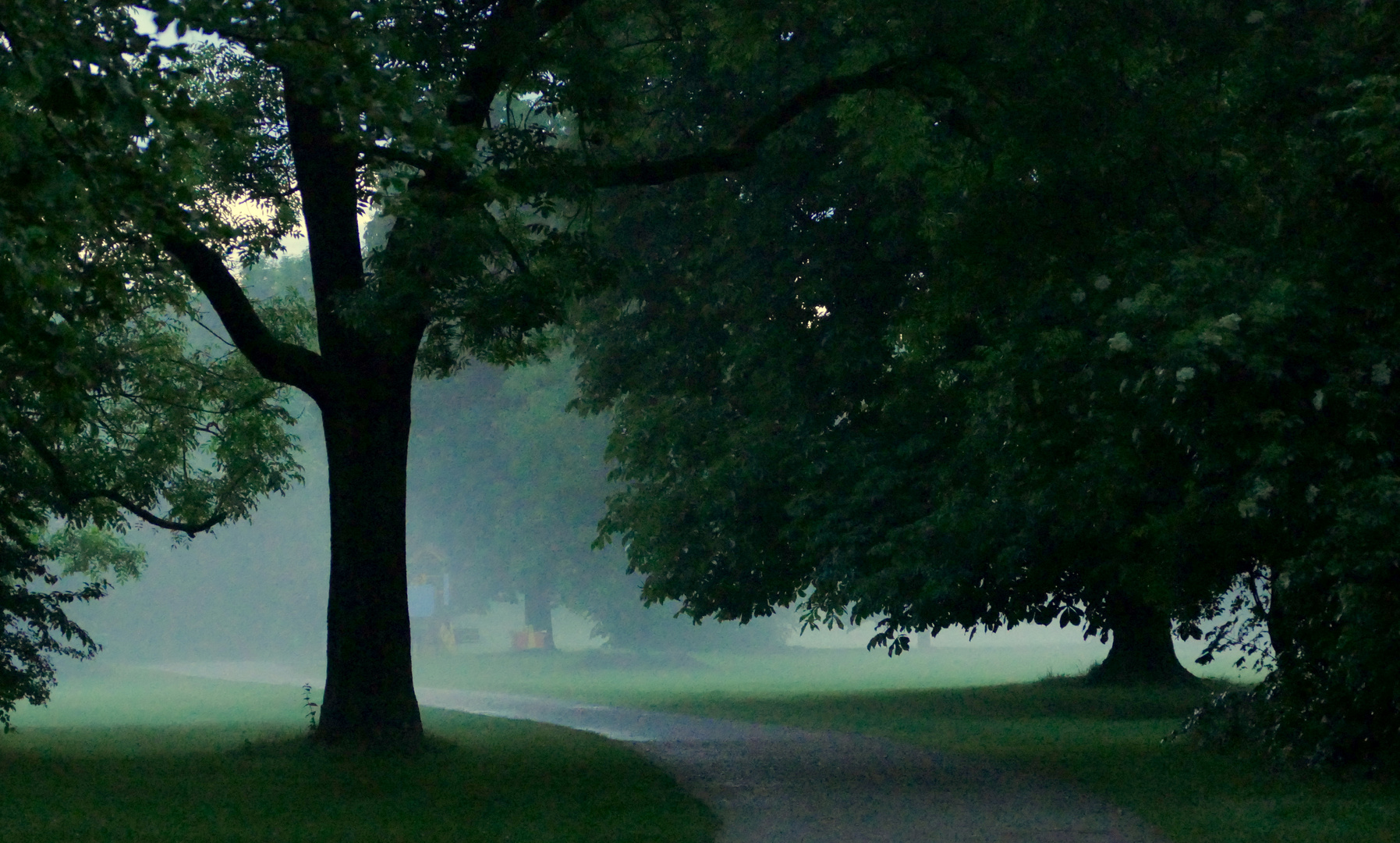 Nebel liegt über den Feldern...