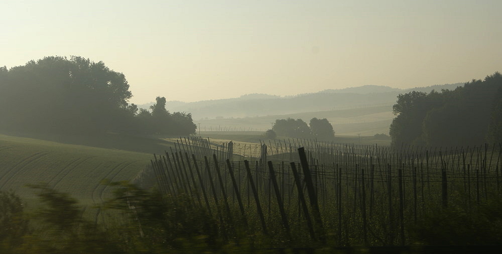 Nebel liegt über der Holledau...