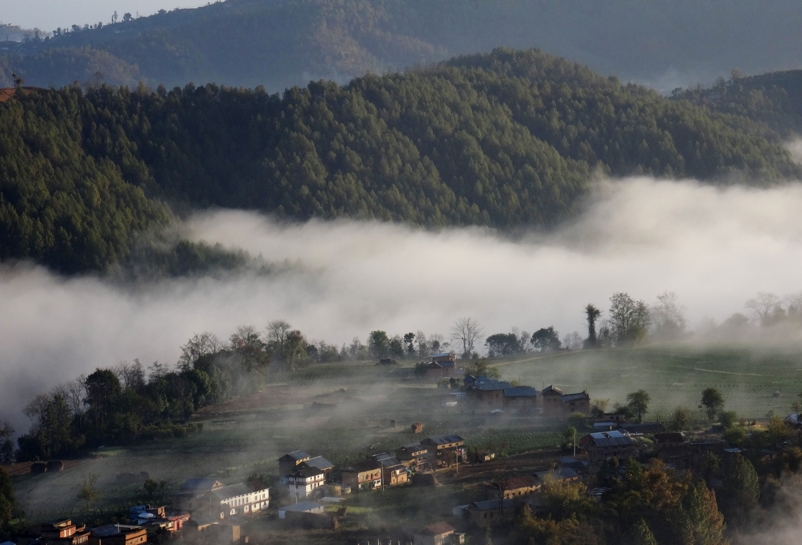 Nebel lin Nepal