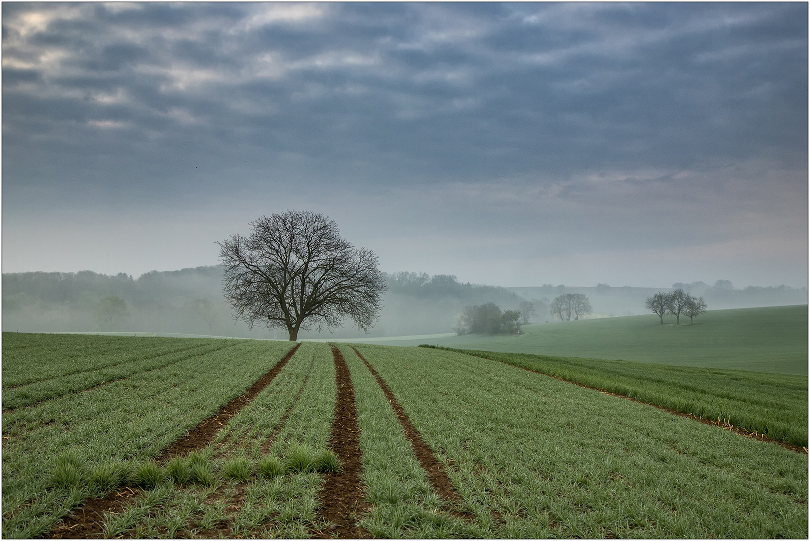 Nebel & Linien