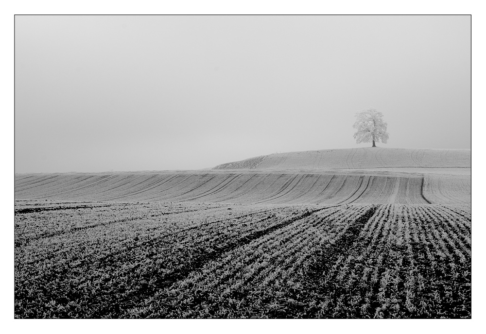 Nebel machts möglich