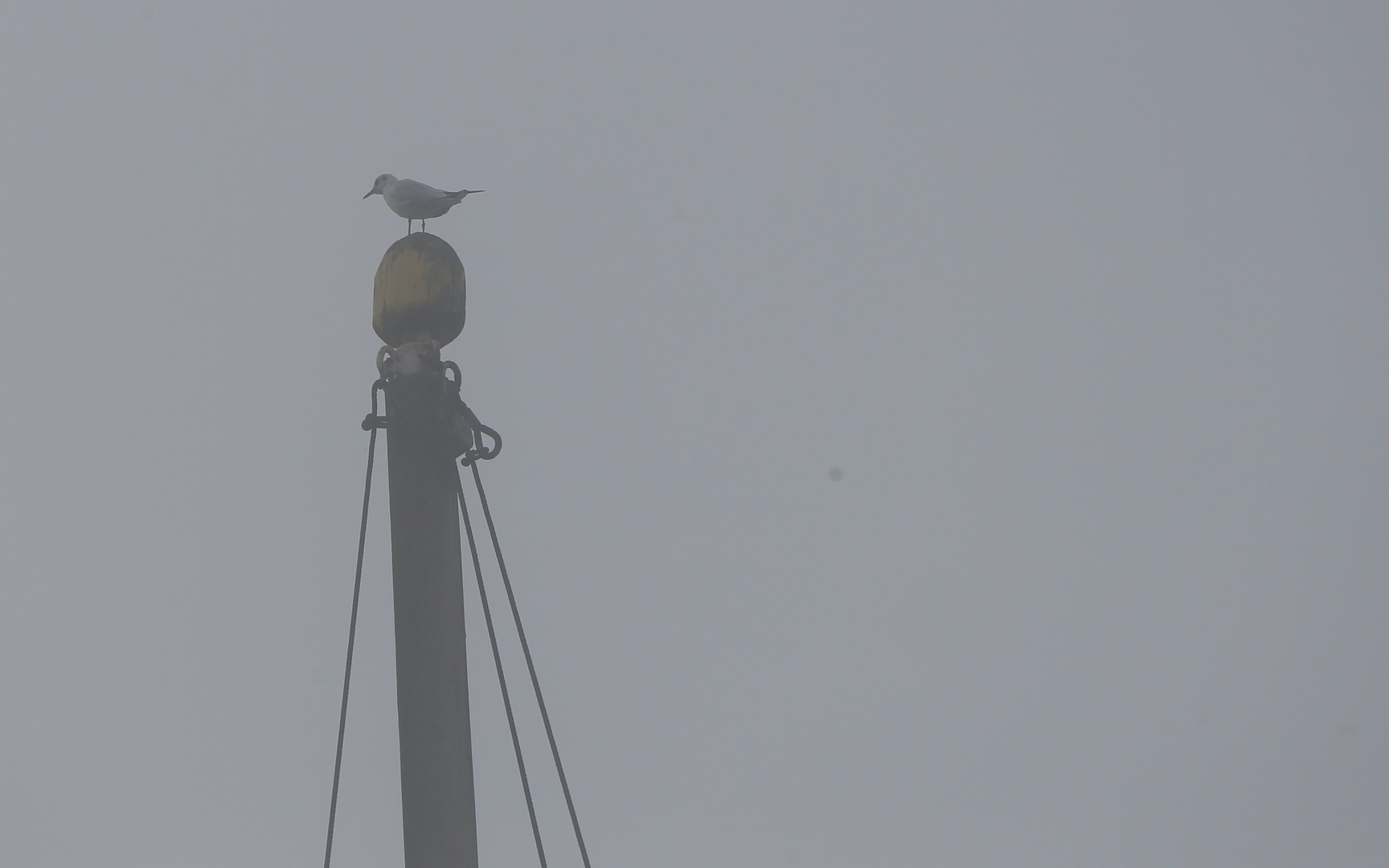 Nebel - Mainz-Kastel - Wiesbaden ....