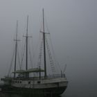 Nebel - Mainz-Kastel - Wiesbaden ....